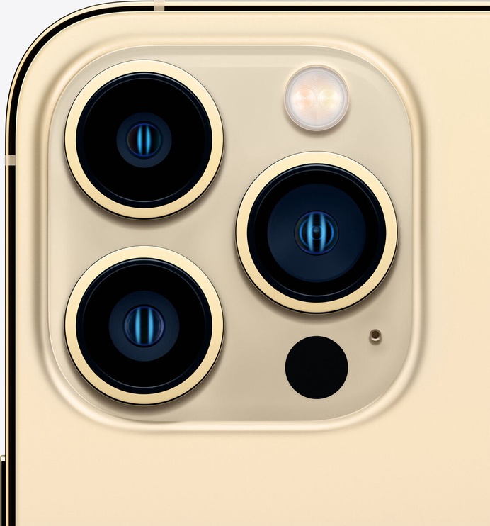 Мобильный телефон Apple iPhone 13 Pro Max, золотой, 6GB/256GB