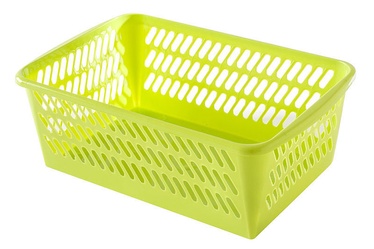 Plast Team Basket Green 19