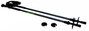Pinguin Tour FL 160 Grey 91-160cm