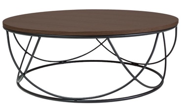 Signal Meble Sepia I Coffee Table Walnut
