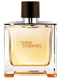 Parfimērijas ūdens Hermes Terre D Hermes, 75 ml