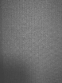 Ruloo Domoletti Eden 139, hall, 1000 mm x 2400 mm