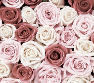 Fototapete ar rozēm, 2.54x1.84 m