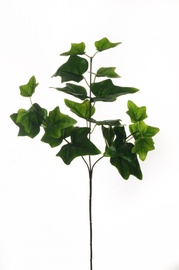 MĀKSLEIKALĪPTA ZARIŅA 57 CM 80-334084