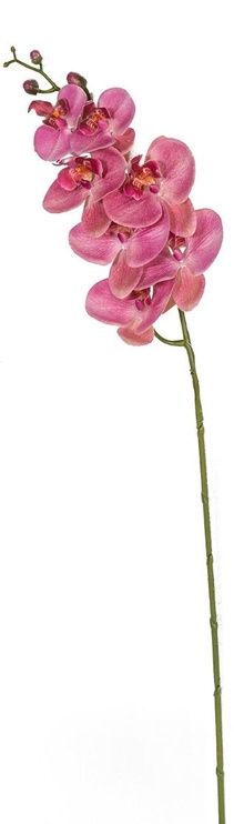 Искусственный цветок Home4you, розовый, 85 см