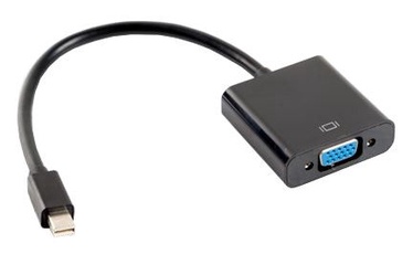 Adapteris Lanberg Mini Displayport / VGA Mini DisplayPort, VGA, 0.2 m, juoda