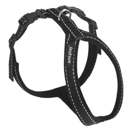 KOERTE TRAKSID AMIPLAY XL