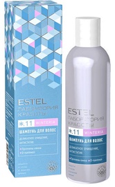 Šampūnas Estel Beauty Hair Laboratory Winteria, 250 ml
