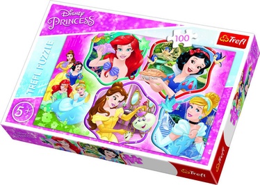 Trefl Puzzle Princesses Charm 100pcs 16339T