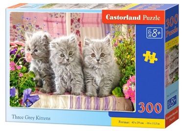Castorland Puzzle Three Grey Kitten 300pcs