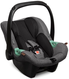 Автомобильное сиденье ABC Design Tulip Asphalt, 0 - 13 кг