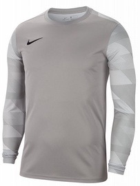 Футболка с длинными рукавами, мужские Nike Dry Park IV, серый, M