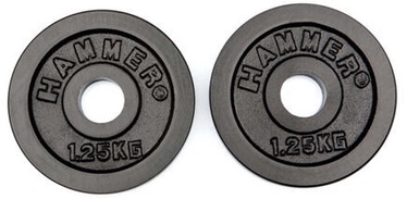 Disku svari Hammer Iron, 5 kg, 4 gab.