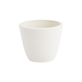 SPW vazonas, Ø10 cm