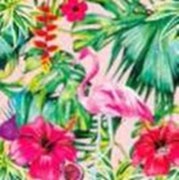 Salvetes 24cm 3-k aloha floral