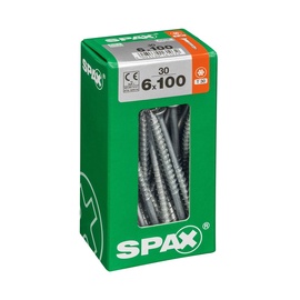 Medsraigčiai Spax, 6 x 100 mm, ZN, T30, 30 vnt.