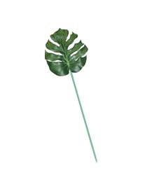 Kunsttaim Domoletti Artificial Leaf, roheline, 96 cm