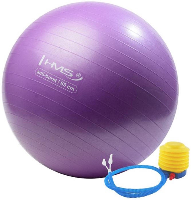 Gimnastikos kamuolys HMS, violetinis, 65 cm
