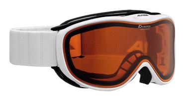 Солнцезащитные очки Alpina Challenge 2.0