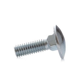 Kruvid DIN603, M6x20 mm, 10 tk