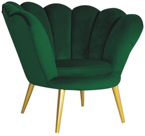 Fotelis Signal Meble Magnolia Velvet, 95 x 60 x 87 cm