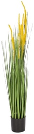 Home4you Bouquet Herbarium With Pot In Garden H100 Yellow 83837