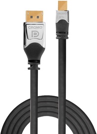 Laidas Lindy Mini DisplayPort To DisplayPort Mini DisplayPort, Displayport, 2 m, juoda