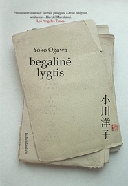 Knyga Begalinė lygtis