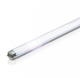 Liuminescencinė lempa Nordeon T8, 36W, G13, 3000K, 3350lm