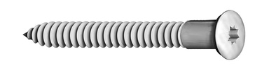 Ankur kruvi Ruspert 5,0x60mm TORX20/250tk