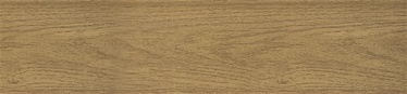 Grindjuostė 303 30004586, 2500 x 60 x 20 mm