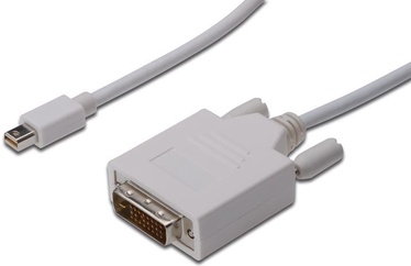 Assmann Adapter Cable Displayport-mini / DVI-D White 3m