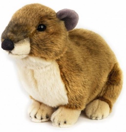 Dante National Geographics Rock Hyrax 26cm