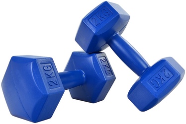 ProFit HEX Dumbbells 2x2kg Blue