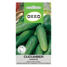 GURĶI MARKETER (OKKO)