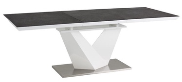 Kafijas galdiņš Signal Meble Alaras II Grey White, 1800x800x750 mm