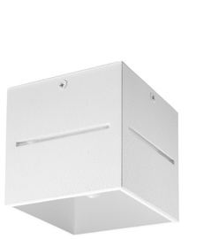 Lampas griesti Sollux Plafond Lobo, 40 W, G9