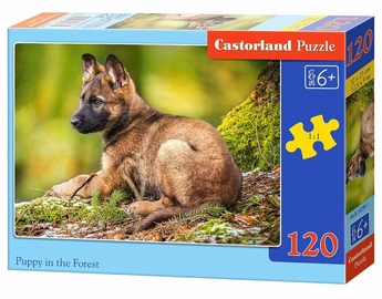Castorland Puzzle Puppy In The Forest 120pcs