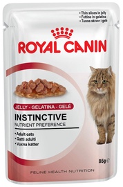 Royal Canin FHN Instinctive In Jelly 85g 12pcs
