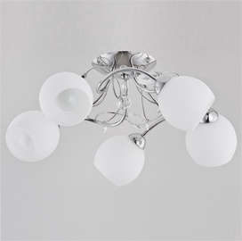 Lubinis šviestuvas Alfa Livia 21525, 5X40W, E14
