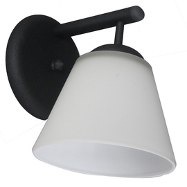Verners 060191 CONE Gray