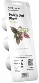 Семена для умных садов Click & Grow, гипоэстес, 40 г, 3 шт.