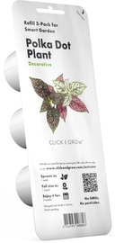Click & Grow Smart Home Polka Dot Flower Refill 3-Pack