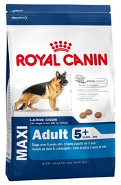 Royal Canin SHN Maxi Adult 5 Plus 15kg