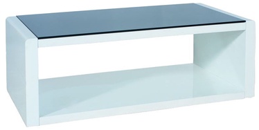 Signal Meble Coffee Table Mary White 100 x 60cm