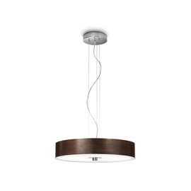 LAMPA GRIESTU FAIR 403391116 55W 2GX13 (PHILIPS)