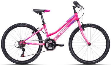 Vaikiškas dviratis CTM Mony 13" 24" Pink 20