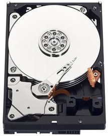 Жесткий диск (HDD) Western Digital WD10JPVX, 2.5", 1 TB