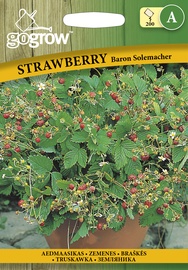 ZEMENES BARON SOLEMACHER