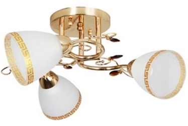 Verners Adina 15016B-3 Gold